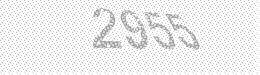 Visual security code — type the characters shown in the image